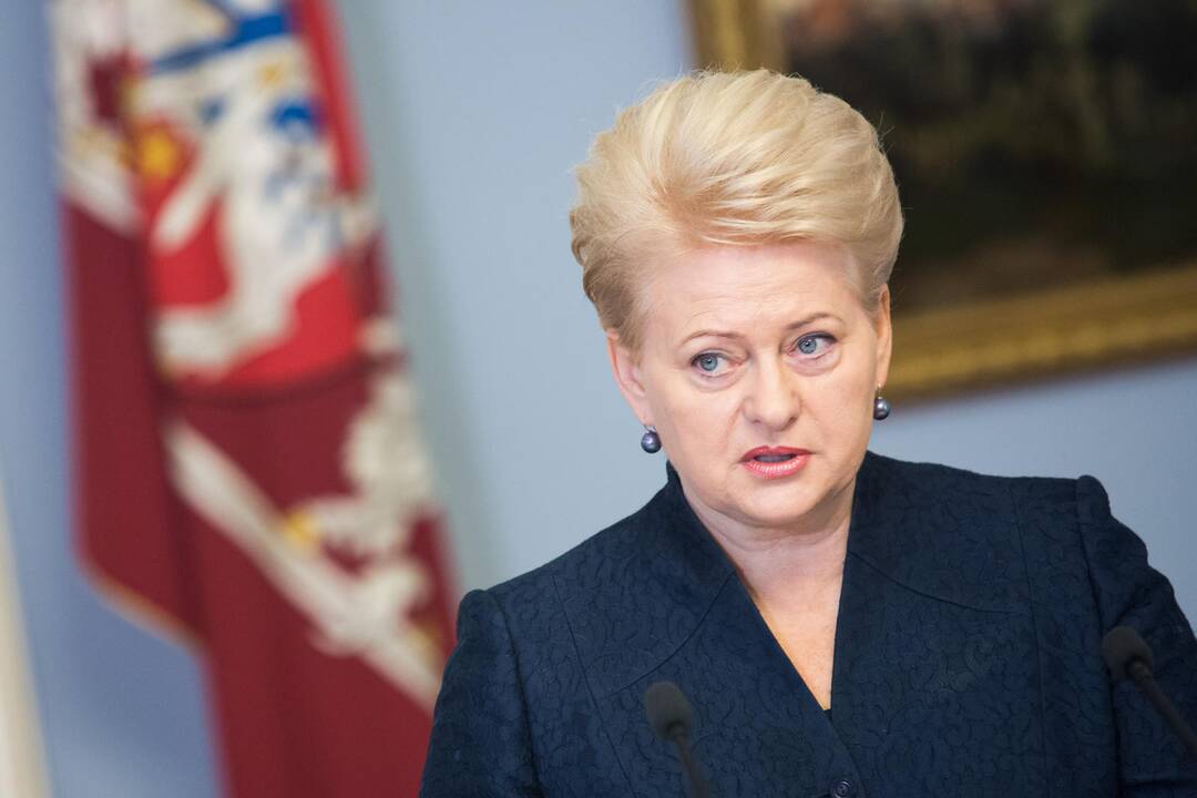 D. Grybauskaitė dėl lėktuvo katastrofos pareiškė užuojautą Alžyrui ir Prancūzijai