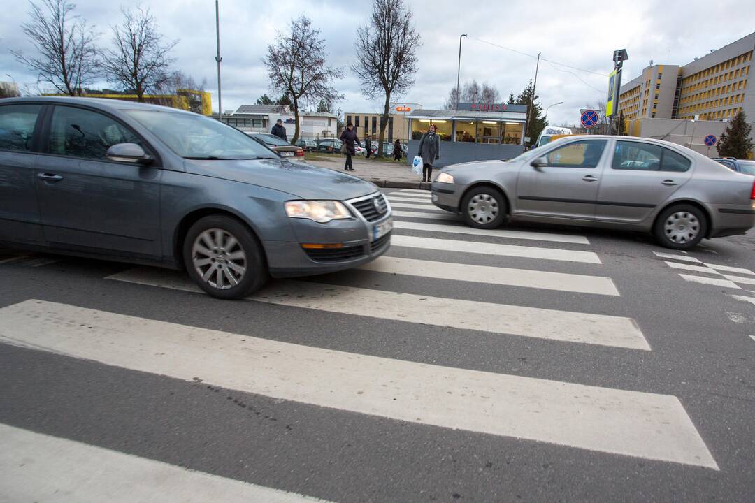 Automobilis perėjoje partrenkė pavadėliu vestą šunį