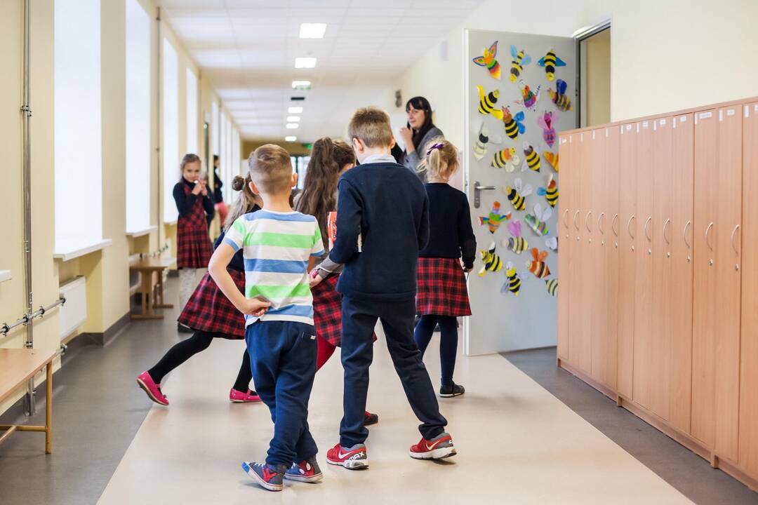 Opozicija sukritikavo Tūkstantmečio mokyklų projektą: gera mokykla nebūtinai yra didelė mokykla