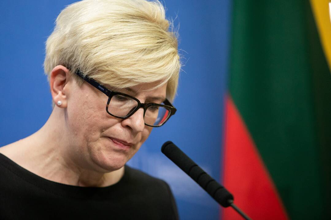 I. Šimonytė neslepia: pirmieji Vyriausybės darbo metai buvo sudėtingi