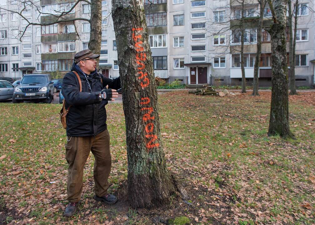 Tik gyventojams ėmus protestuoti, Vilniaus miesto savivaldybės užmojai iškirsti medžius stebuklingai sumažėja net šimtais.