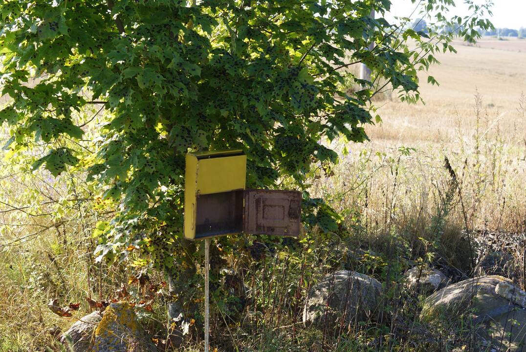 Netvarkingų pašto dėžučių laiškai nebepasieks
