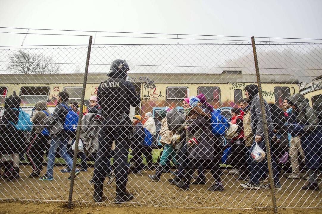 Lietuvos policininkai padeda suvaldyti pabėgėlių srautus Slovėnijoje