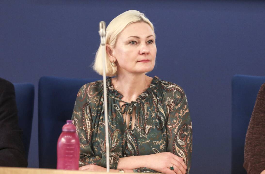 Lietuvos prekybos įmonių asociacijos (LPĮA) vykdomoji direktorė Rūta Vainienė