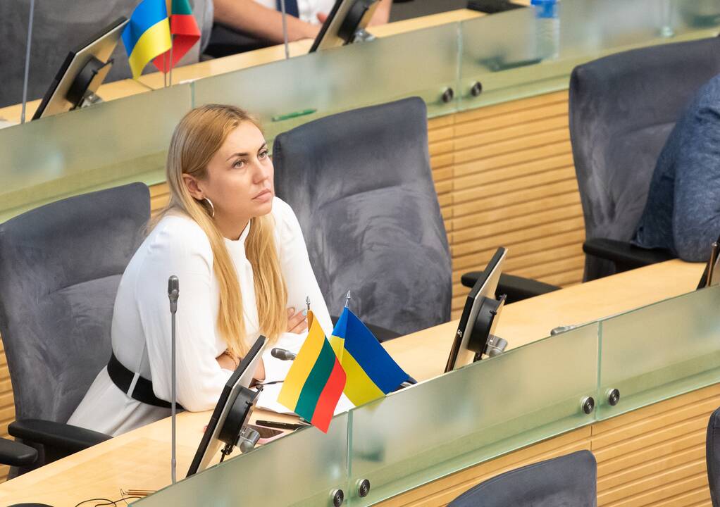 Tęsiasi neeilinė Seimo sesija