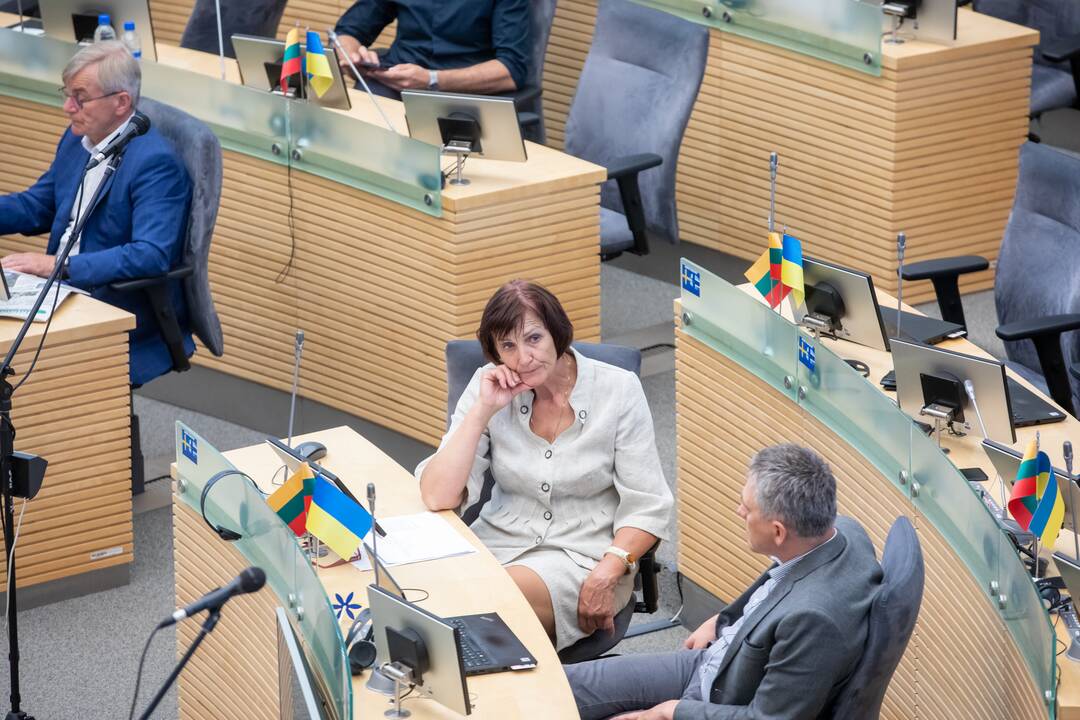 Tęsiasi neeilinė Seimo sesija
