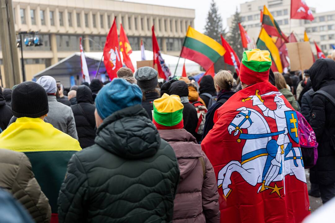 Protestas prie Seimo Sausio 13-ąją