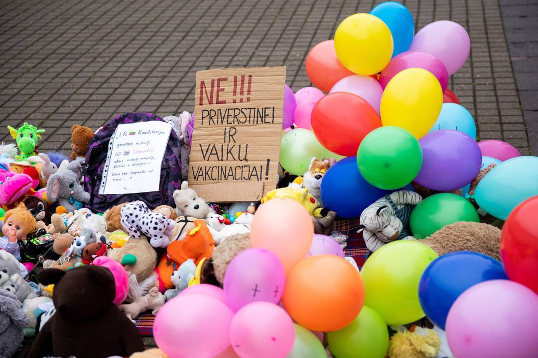 Protestas prieš galimybių pasą vaikams prie Prezidentūros