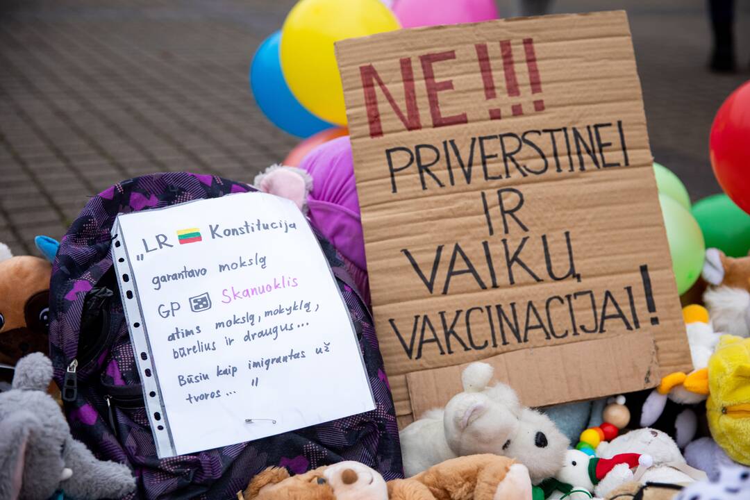 Protestas prieš galimybių pasą vaikams prie Prezidentūros