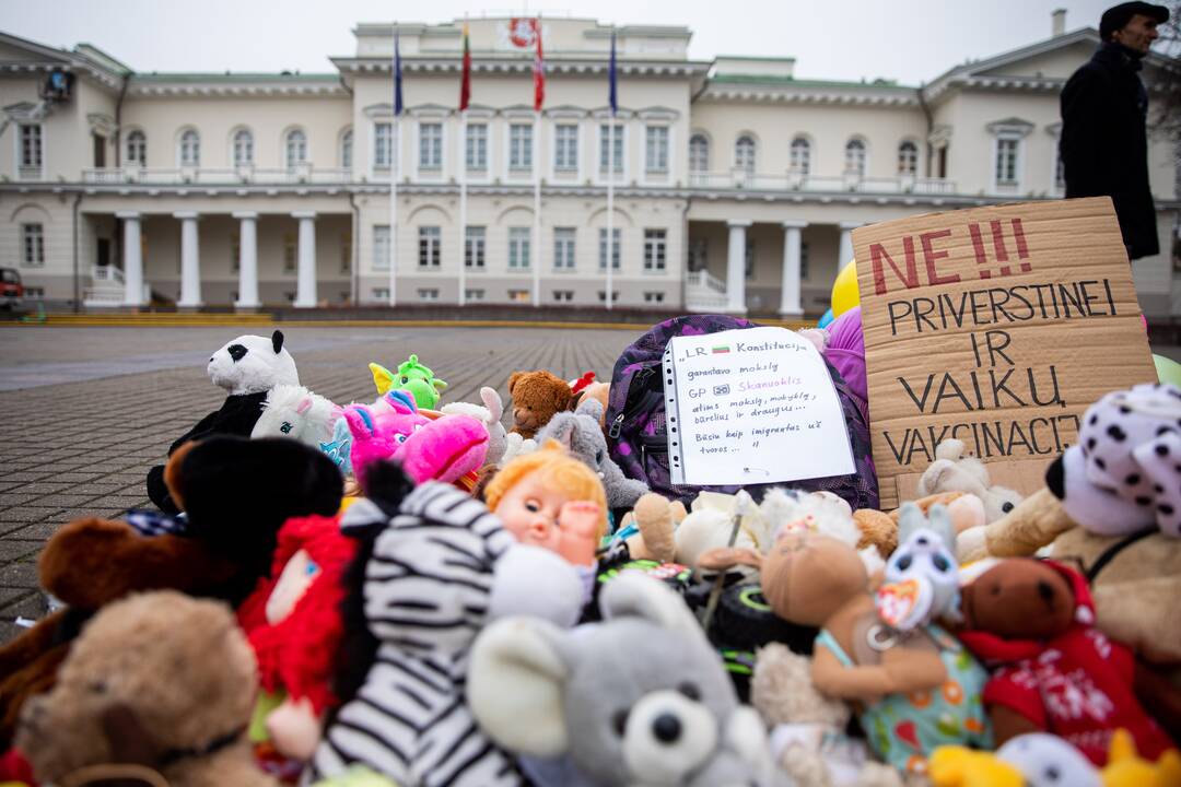 Protestas prieš galimybių pasą vaikams prie Prezidentūros