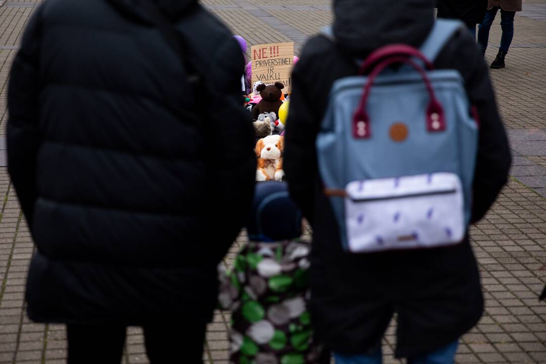 Protestas prieš galimybių pasą vaikams prie Prezidentūros