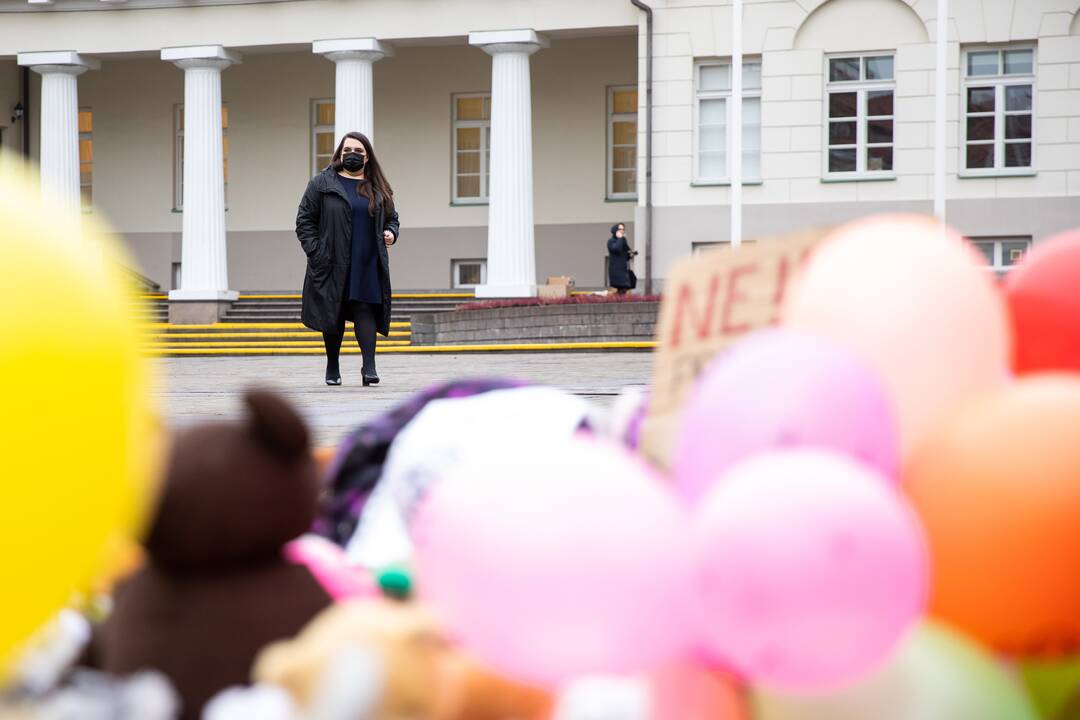 Protestas prieš galimybių pasą vaikams prie Prezidentūros