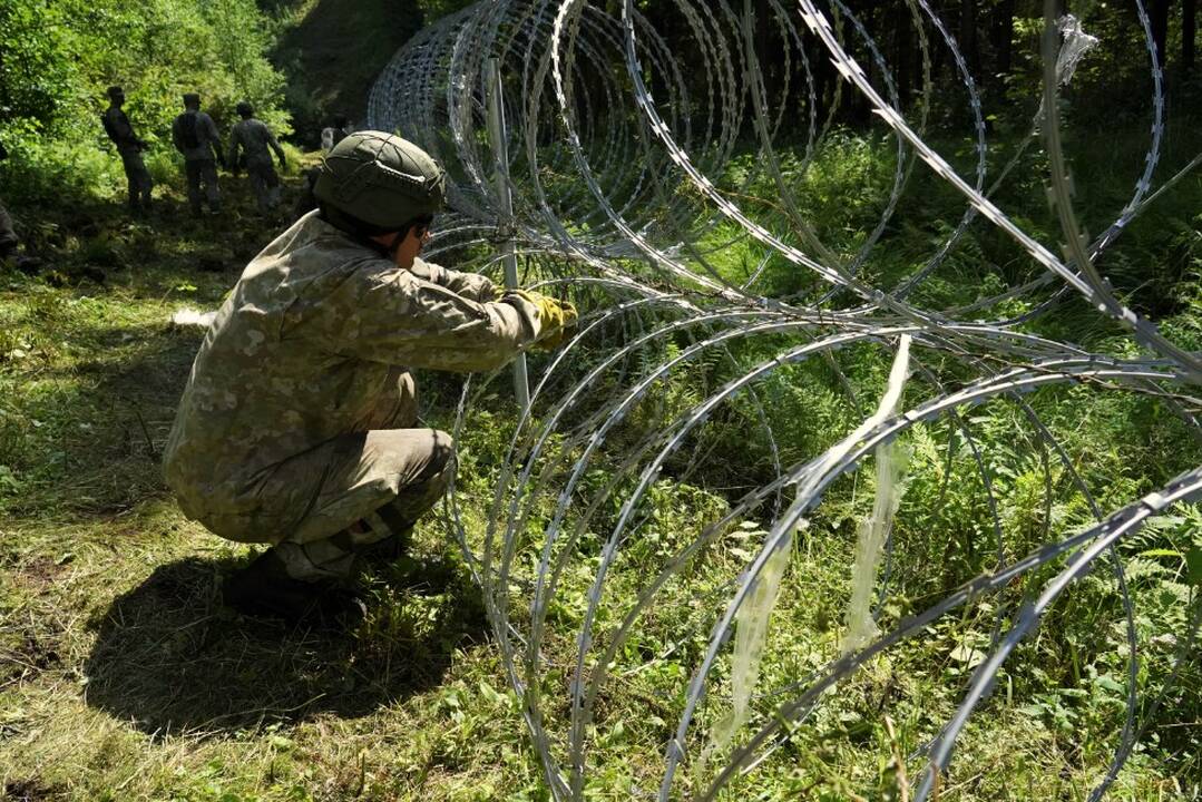 Baltarusijos pasienyje jau nutiesta beveik 40 km koncertinos – pjaunančios vielos