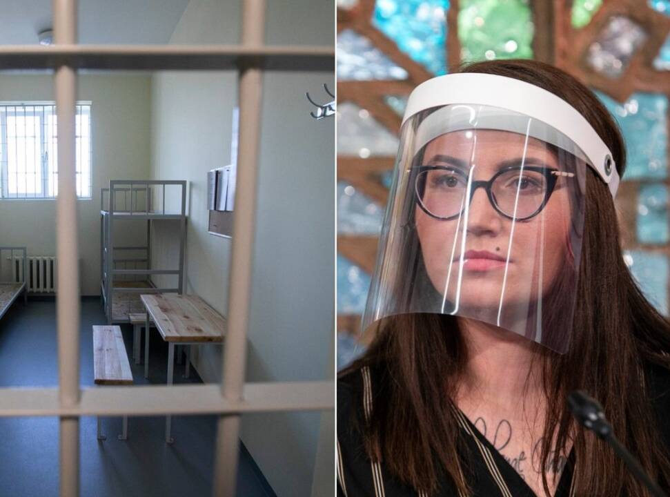 Teisingumo ministrė Evelina Dobrovolska