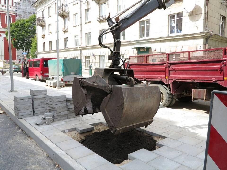 Šermukšnių gatvėje ruošiamasi šermukšnių sodinimui