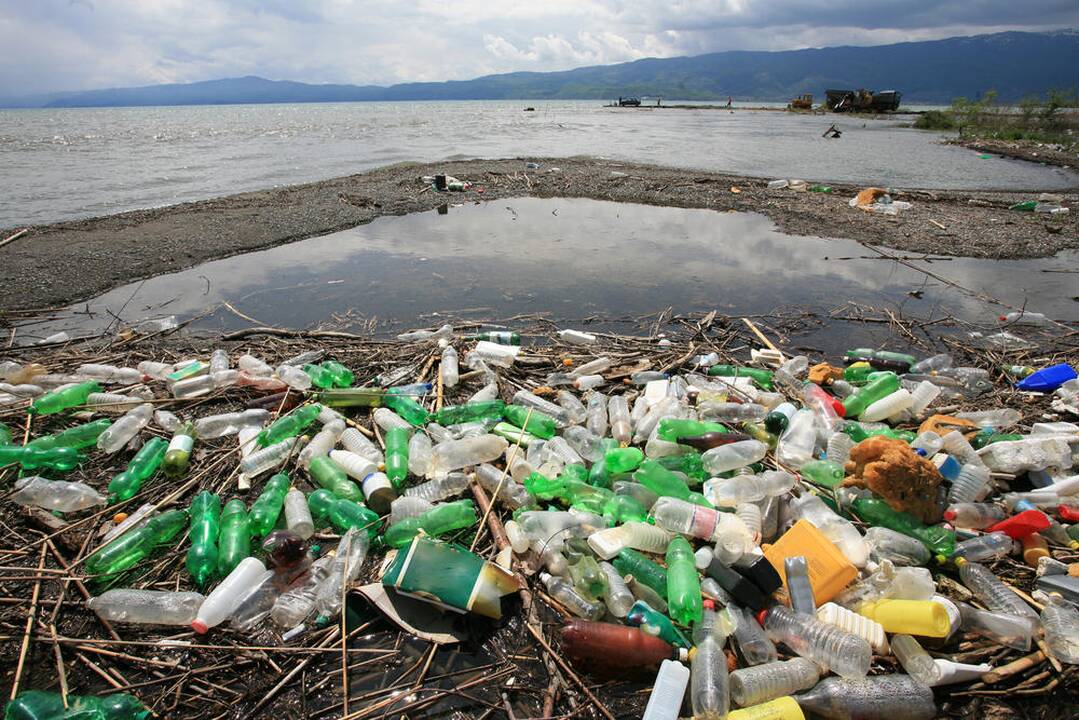 Vandenynuose gimsta dar nematytos „plastisferos“
