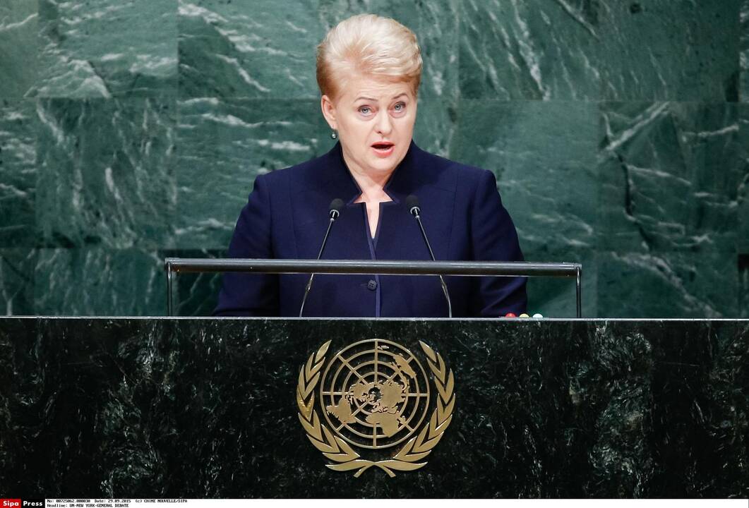 Premjero patarėjas nepagailėjo kritikos D. Grybauskaitei