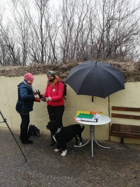 Visuomenininkų akcija pajūryje
