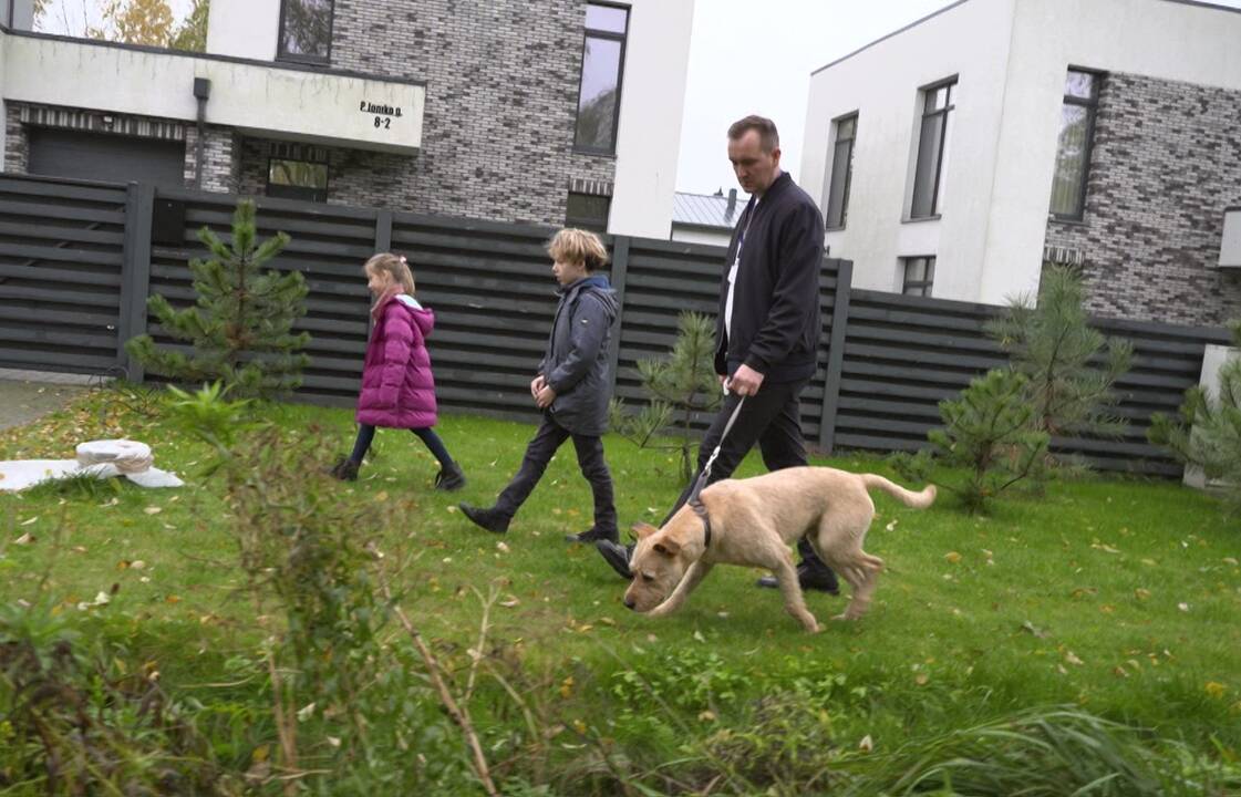 Papildymas: aktoriaus M. Cegelsko gyvenime staiga atsirado du augintiniai: abu – susapnuoti vaikų.