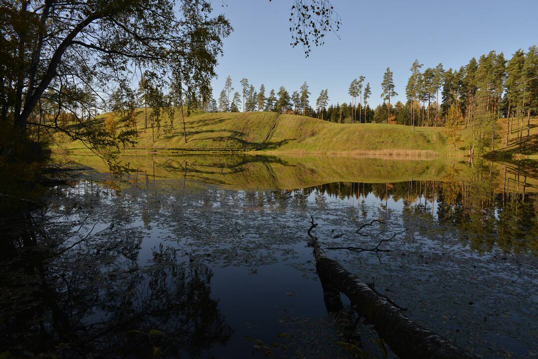 Burgaičių piliakalnis, Šakių r.