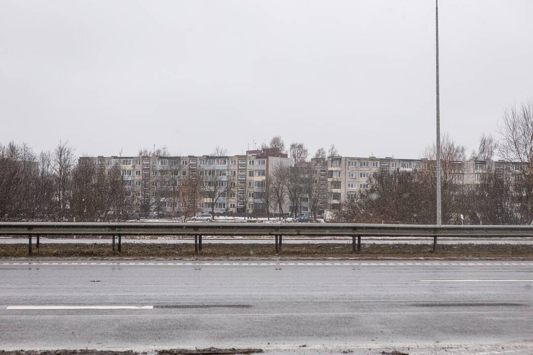 Pasiūlymas: mokslininkų nuomone, geriausia tiltus į LEZ būtų statyti iš Dainavos mikrorajono.