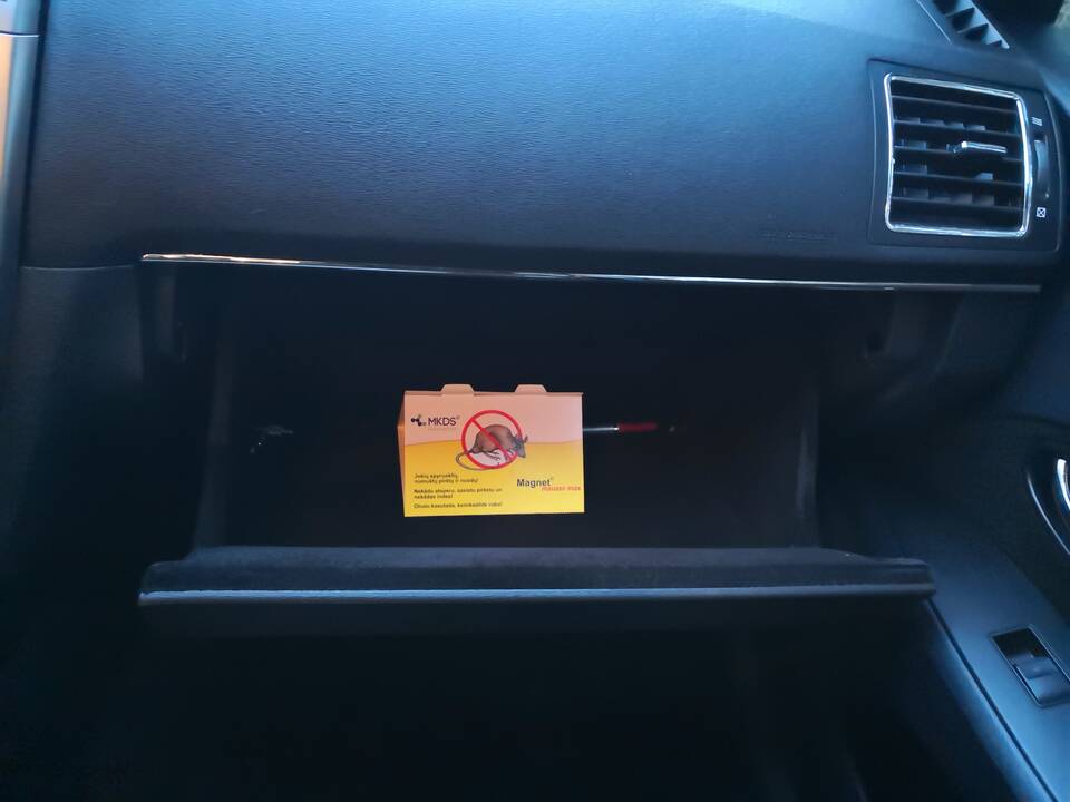 Keliai: landūs graužikai į automobilį prasispraudžia net pro smulkiausias ertmes.