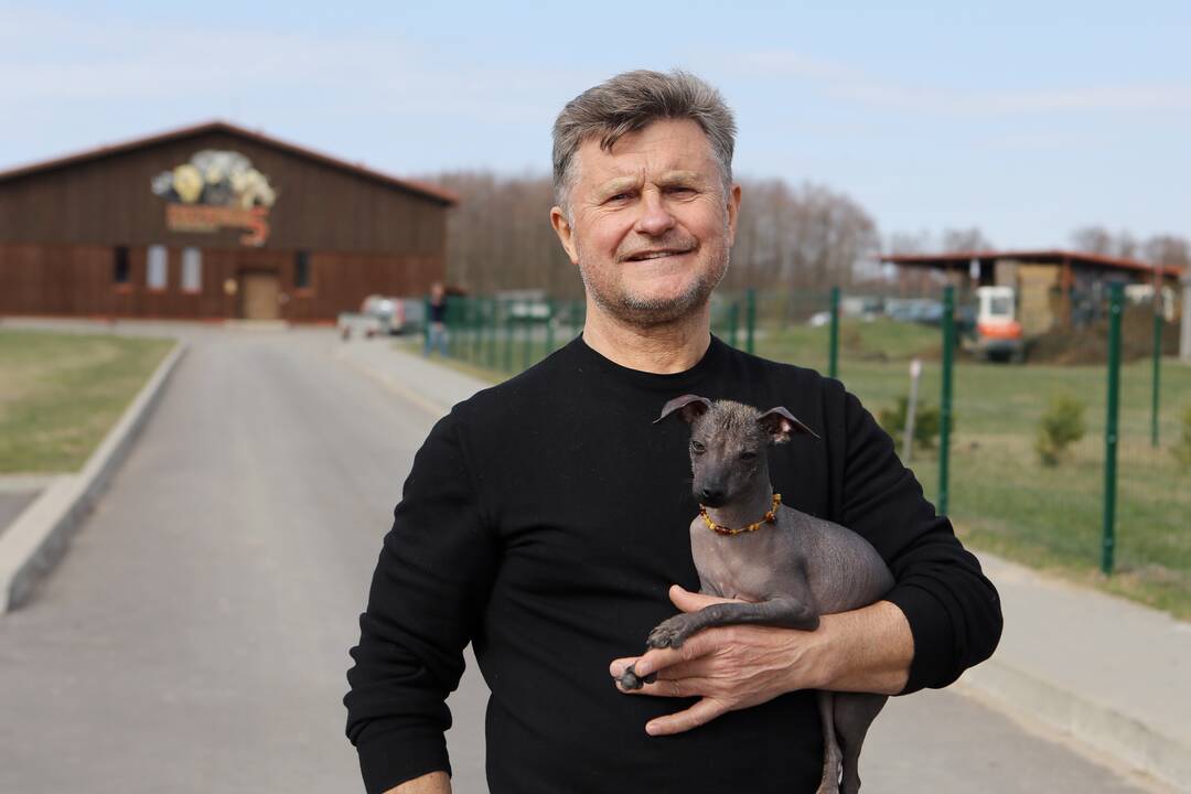  Situacija: „Plie­nas“ daž­niau mi­ni­mas teis­muo­se nei tarp NT rin­kos ly­de­rių, o bu­tai im­ti pardavinėti var­žy­ti­nė­se.