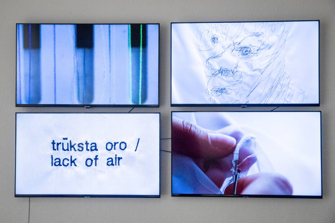 Baltos kandys. Miškan.