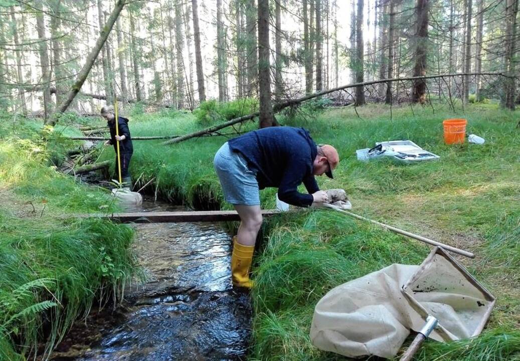 Rūpestis: N. Bakeris šiuo metu analizuoja Lietuvos duomenis, kurie leis atskleisti biologinės įvairovės tendencijas Europos kontekste.