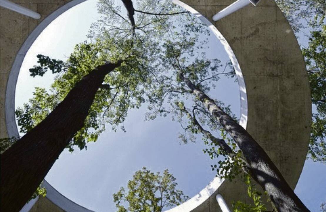 Akcentas: Venecijos architektūros bienalėje Lietuva atkreips dėmesį į pagarbą, kurios nusipelnė šiuolaikiniuose miestuose dažnai kenčiantys medžiai.