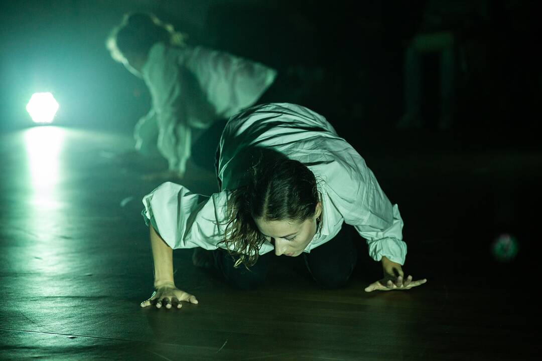 Choreografija: pasakojimo audinį kūrė visos trys šokėjos, atlikusios ir solo partijas.