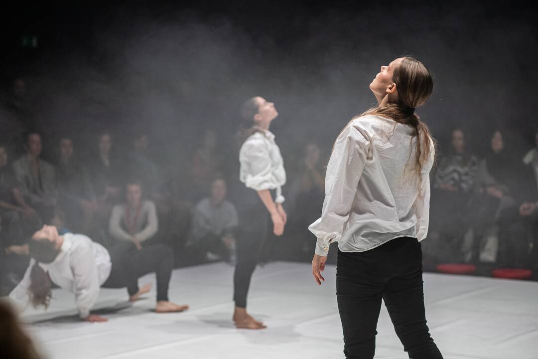 Choreografija: pasakojimo audinį kūrė visos trys šokėjos, atlikusios ir solo partijas.