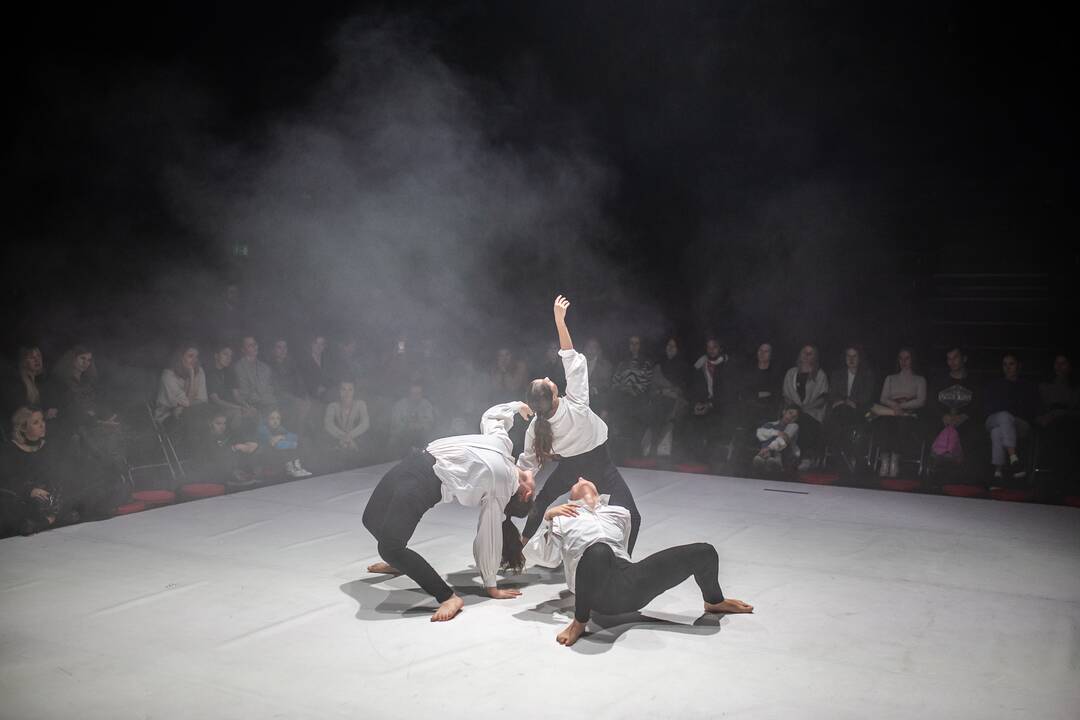 Choreografija: pasakojimo audinį kūrė visos trys šokėjos, atlikusios ir solo partijas.