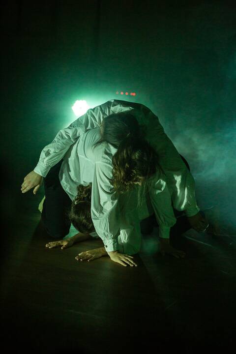 Choreografija: pasakojimo audinį kūrė visos trys šokėjos, atlikusios ir solo partijas.
