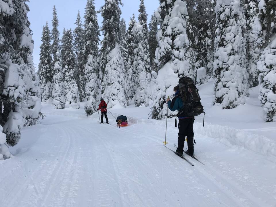 Startas: šeimos komanda pasiruošusi įveikti slidėmis 10–20 km. 