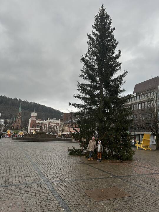 Namai: E. Šimulienė su šeima į Norvegiją atvyko laikinai, tačiau čia jau skaičiuoja dvyliktus metus.