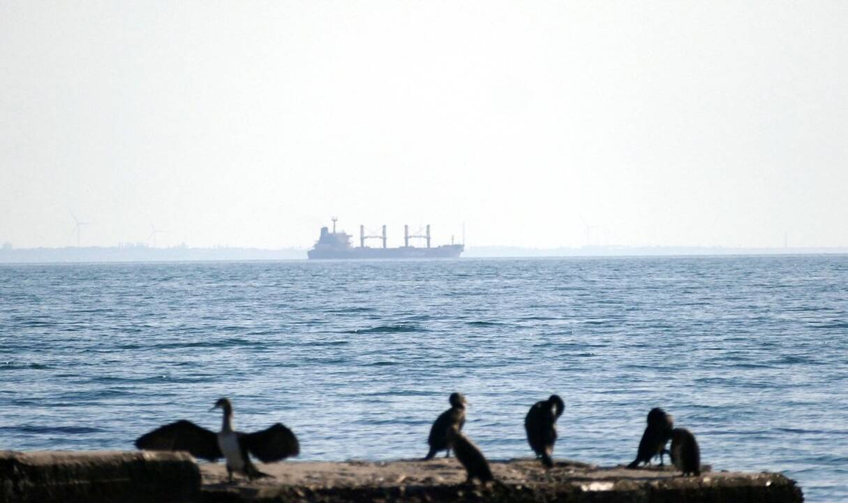 Žinoti: pasidalyti žiniomis apie vandens įtaką sveikatai, ekologijai, išteklių valdymui R. Adamonienė (dešinėje) sukvietė autoritetingas pranešėjas. 