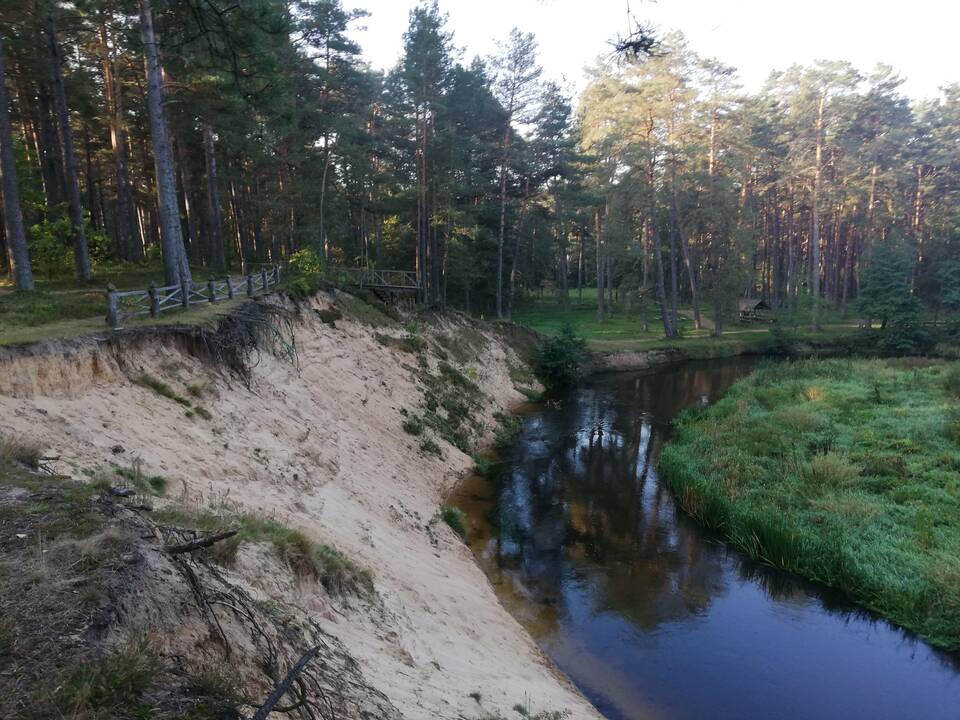 Verta: jei lankysitės miško muziejuje „Girios aidas“, šiek tiek laiko praleiskite ir greta jo esančiame take – miško parke.