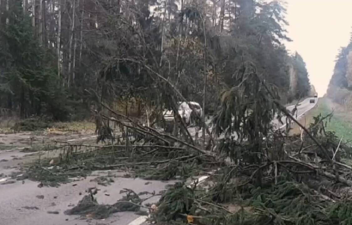Kaip apsaugoti tiek save, tiek savo turtą nuo klimato reiškinių?