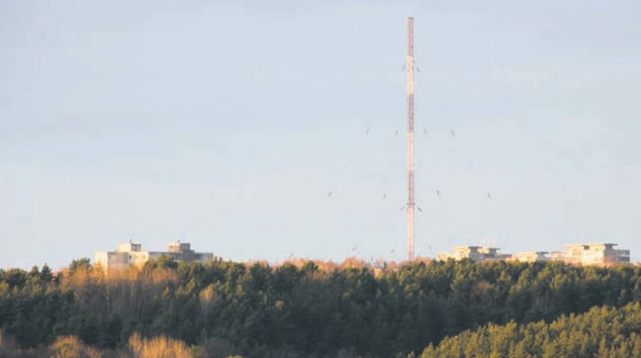 Problema: atėjus vasaros sezonui, kai į Palangą suvažiuos daugybė turistų, kartu išaugus vartotojų skaičiui, dalis jų gali likti be mobiliojo ryšio paslaugų.