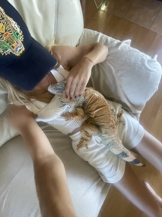 Prieraišumas: kaip ir kiekvienas augintinis, iguana nori dėmesio ir meilės, Tarzano mėgavimąsi Atėnės draugija rodo užmerktos akys – taip jis išreiškia meilę savo šeimininkei.