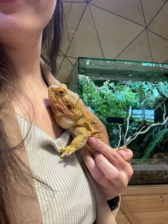 Išskirtiniai: I. Plungytei tenka gydyti net zoologijos sodo gyvūnus. Ant jos rankų – išskirtinė beždžionėlė paprastoji marmozetė.