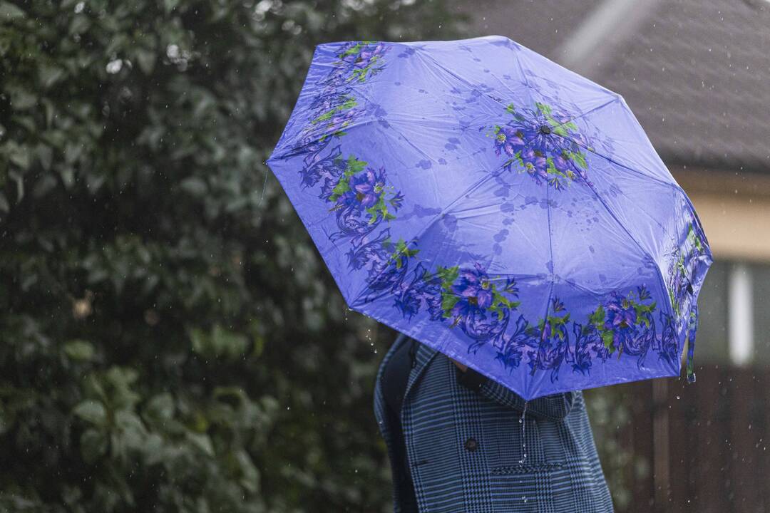 Prognozės: Kalėdų eglutės šiemet nebus kaip iš senų atvirukų – sniego sinoptikai nežada.