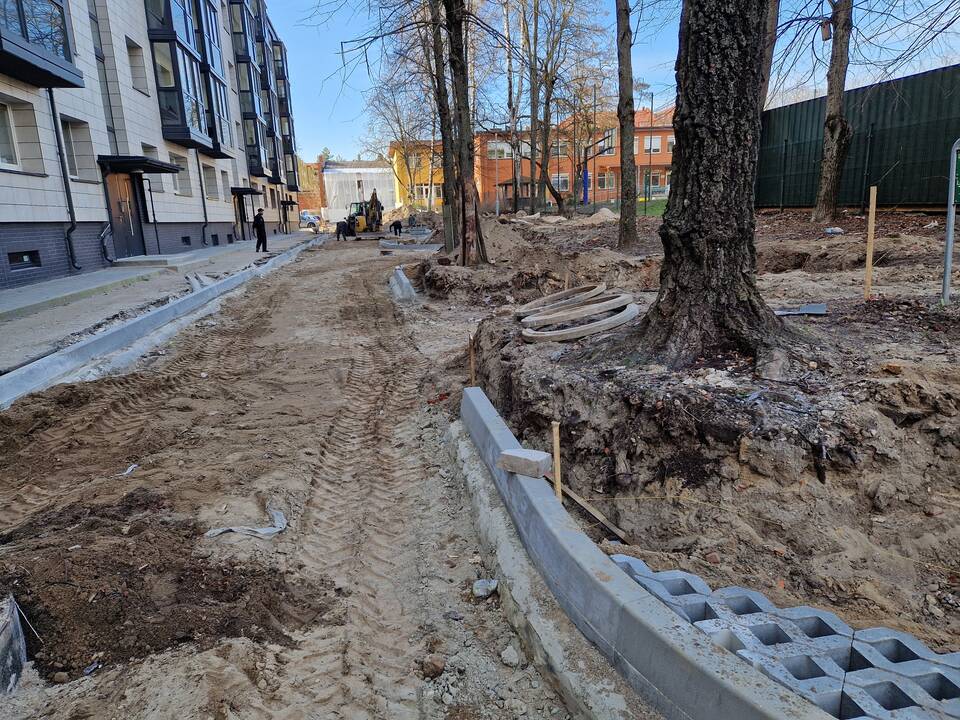 Paradoksai: saugant kelis medžius, projektuotojai buvo priversti susiaurinti įvažą, todėl eismas čia bus vienos krypties.