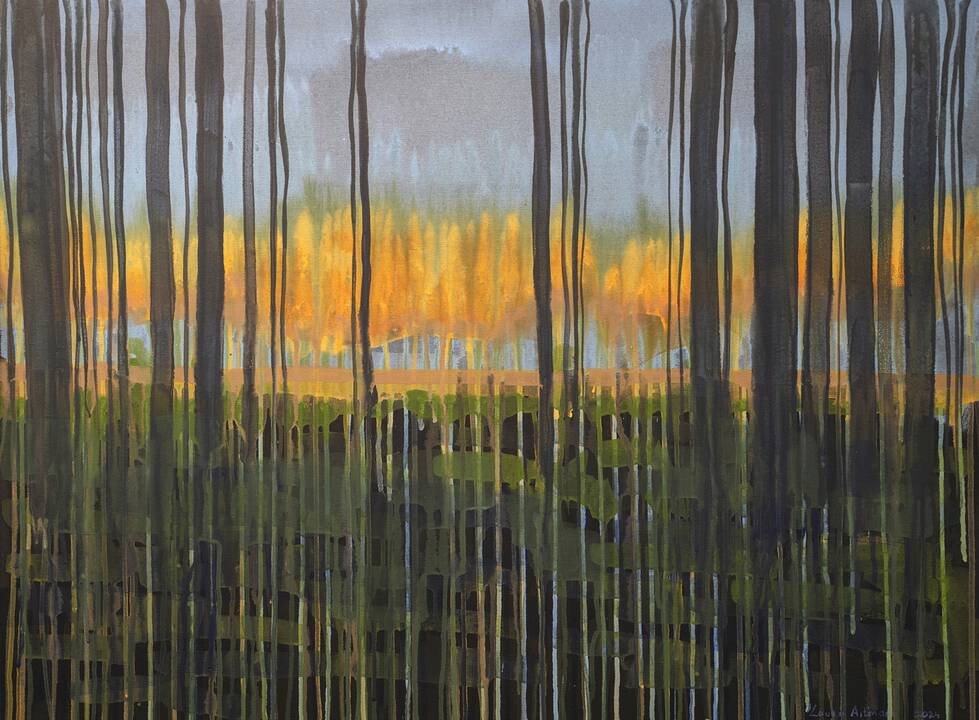 Liūtis. Akrilas, drobė. 50X70 cm.
