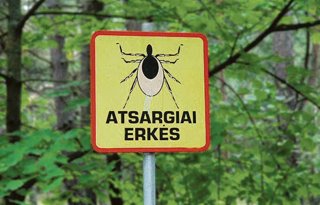 Primena: erkinis encefalitas gali kainuoti gyvybę