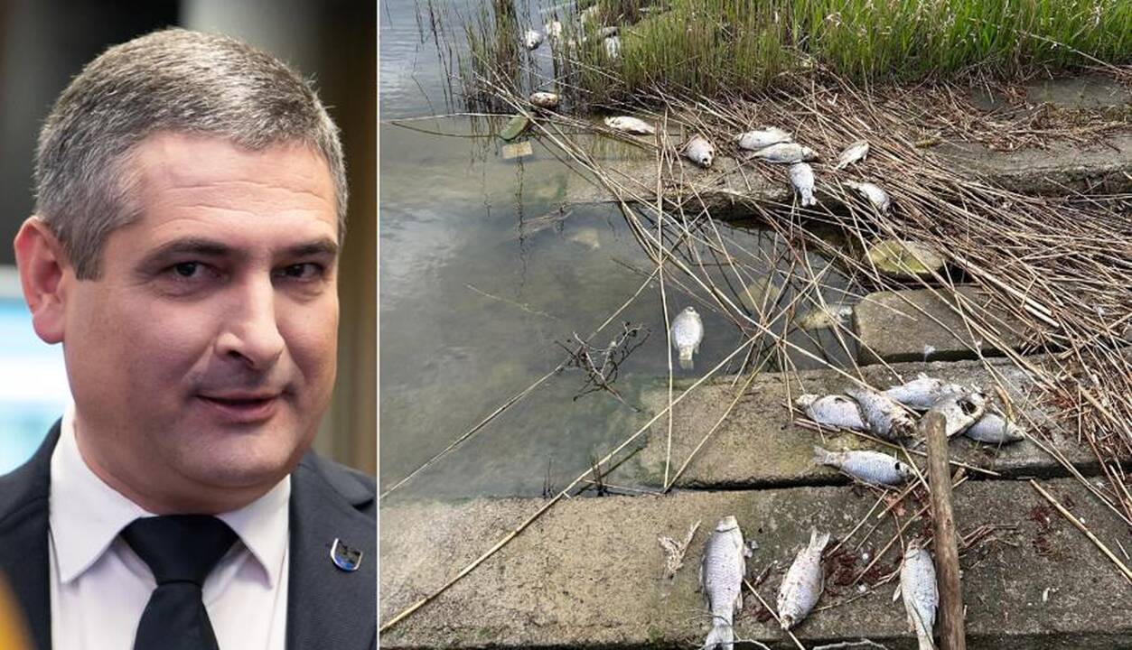 Savivaldybei – pinigai, poilsiautojams – nudvėsusios žuvys? 
