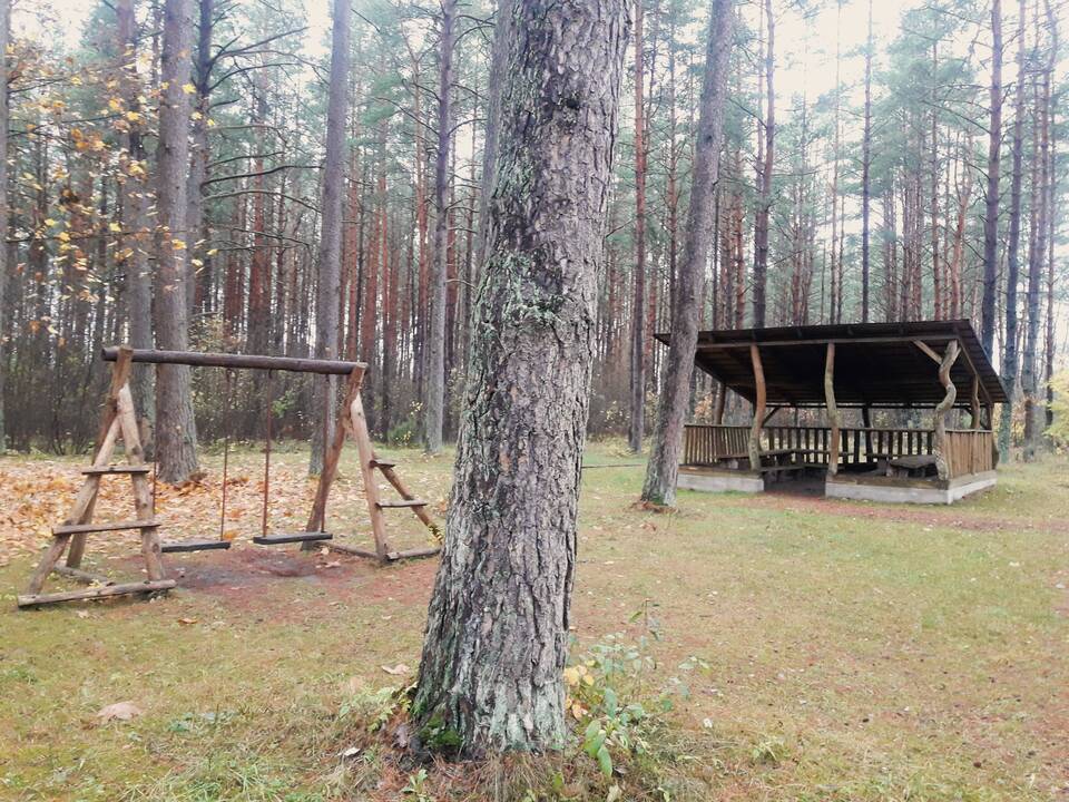 Verta: jei lankysitės miško muziejuje „Girios aidas“, šiek tiek laiko praleiskite ir greta jo esančiame take – miško parke.