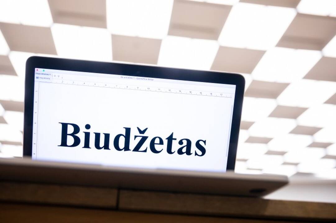 Dominuoja: didžiąją dalį viešųjų įstaigų, kuriose dalyvauja valstybė ar savivaldybė, sudaro viešąsias paslaugas teikiančios viešosios įstaigos – pavyzdžiui, universitetai.
