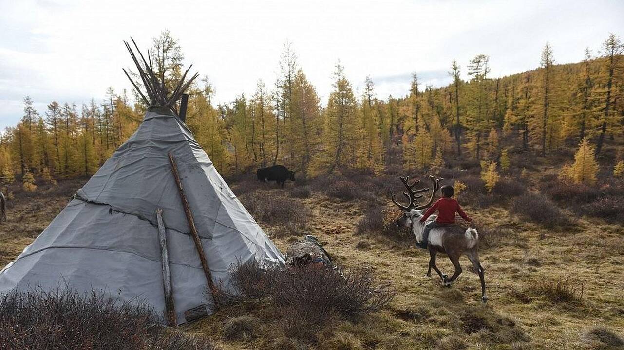 Mongolijos sužavėtas keliautojas: gyvuliai stepėse suvarinėjami motociklais